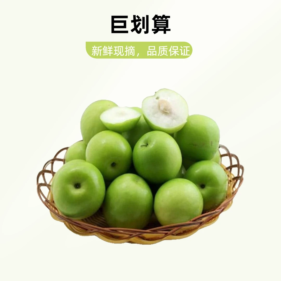 【聚农优选】云南牛奶青枣甘甜爽口水分足｜顺丰包邮