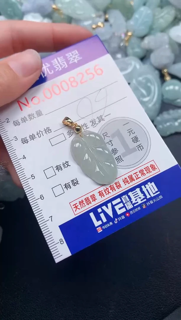 颈饰未镶嵌翡翠8256