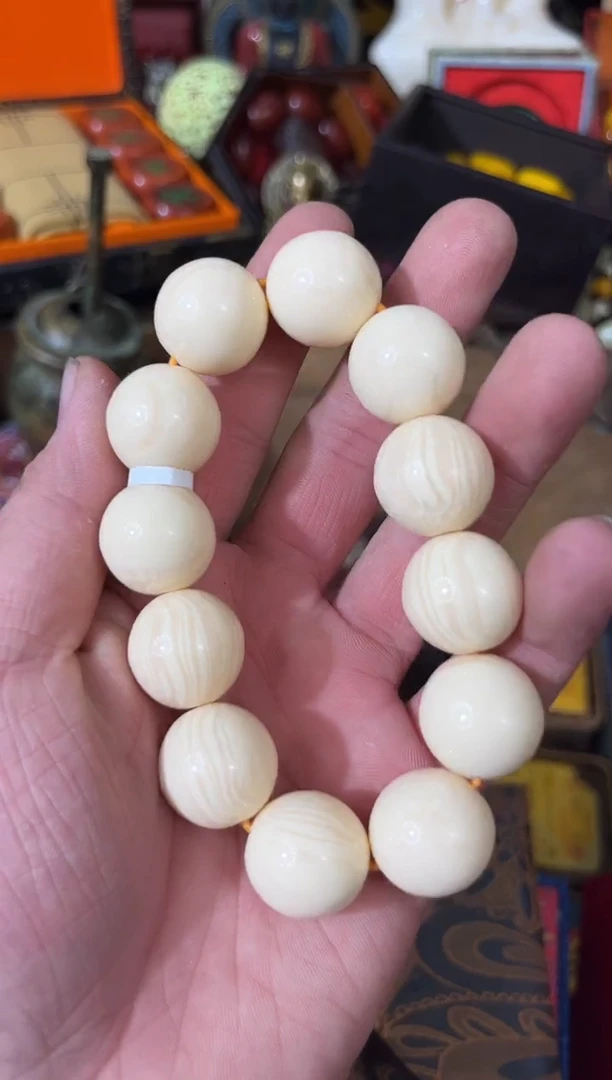 【闪购商品】龙龙龙龙龙龙龙龙