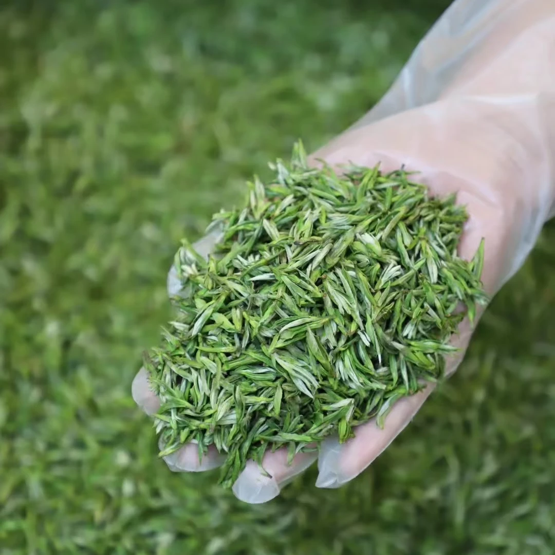 2024年 明前春茶 舒城小兰花   高兰香