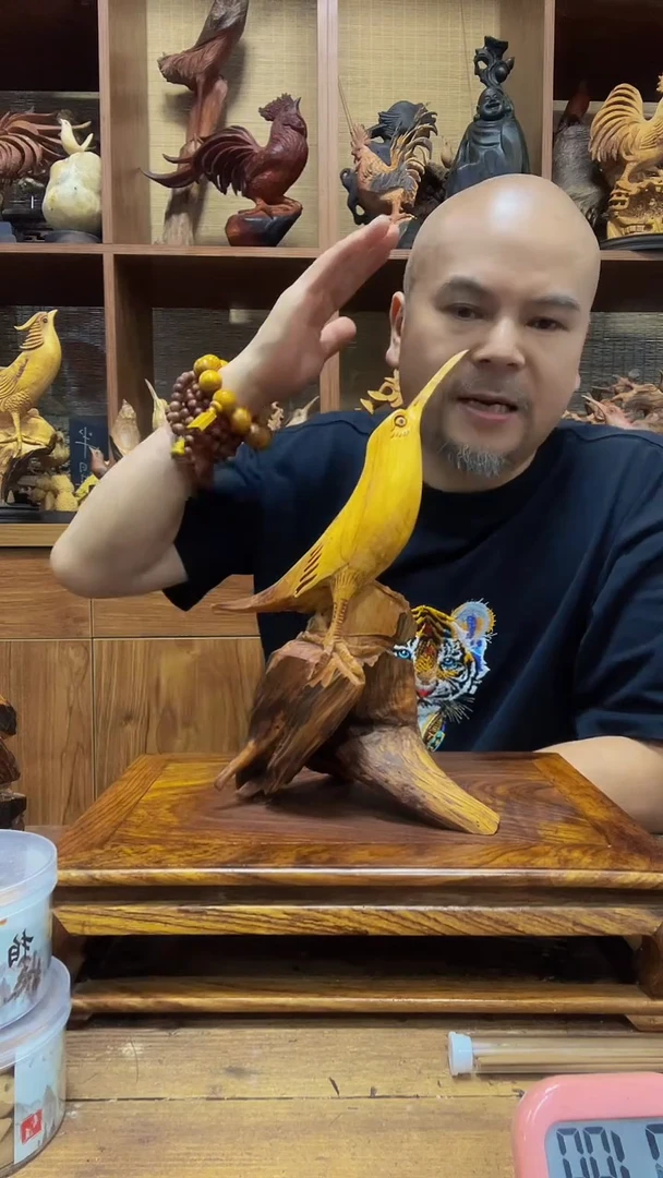 松木富 定向 富 定向 富