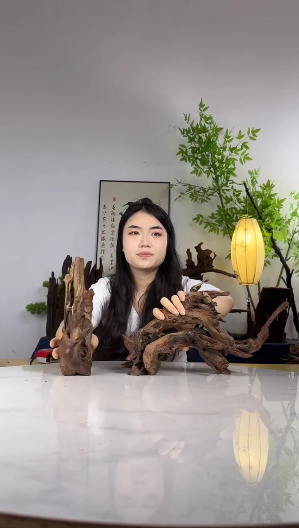 叁*拍这个定向编号50-51