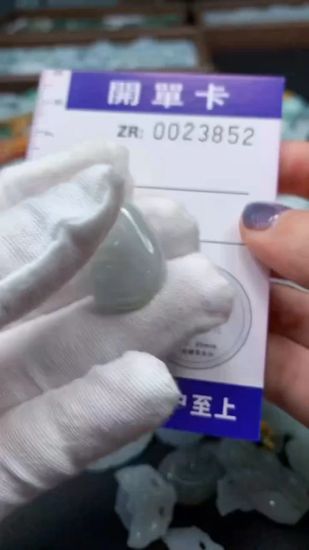 翡翠未镶嵌颈饰翡翠A货 多样性发其一（不含链）