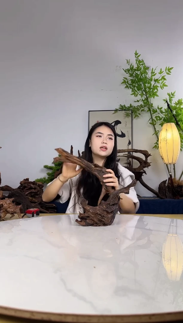 旭****长拍沉木定向链接编号38