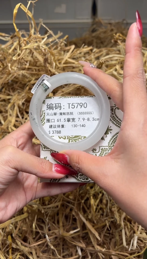 未镶嵌手镯石英质玉T5790