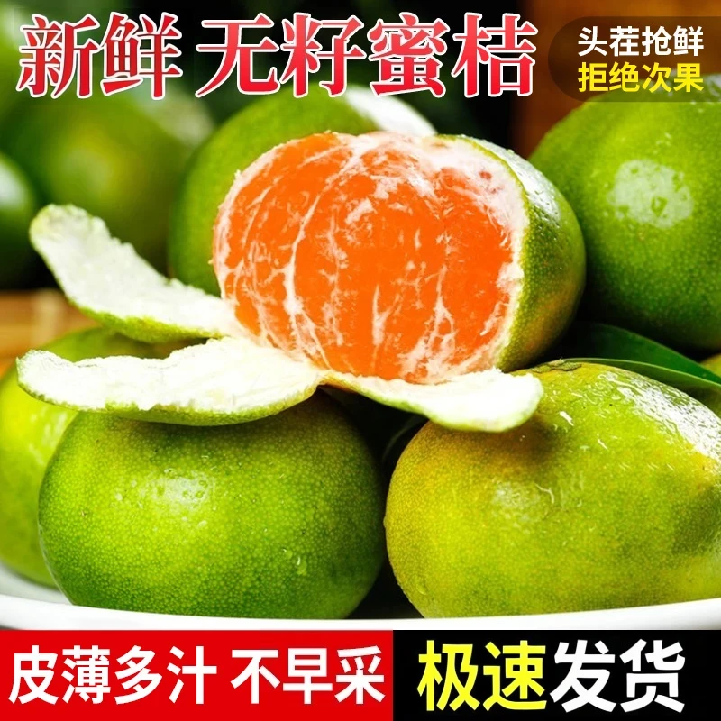四川新鲜水果无籽青皮蜜橘蜜桔高山薄皮橘子应季孕妇超甜柑橘桔子