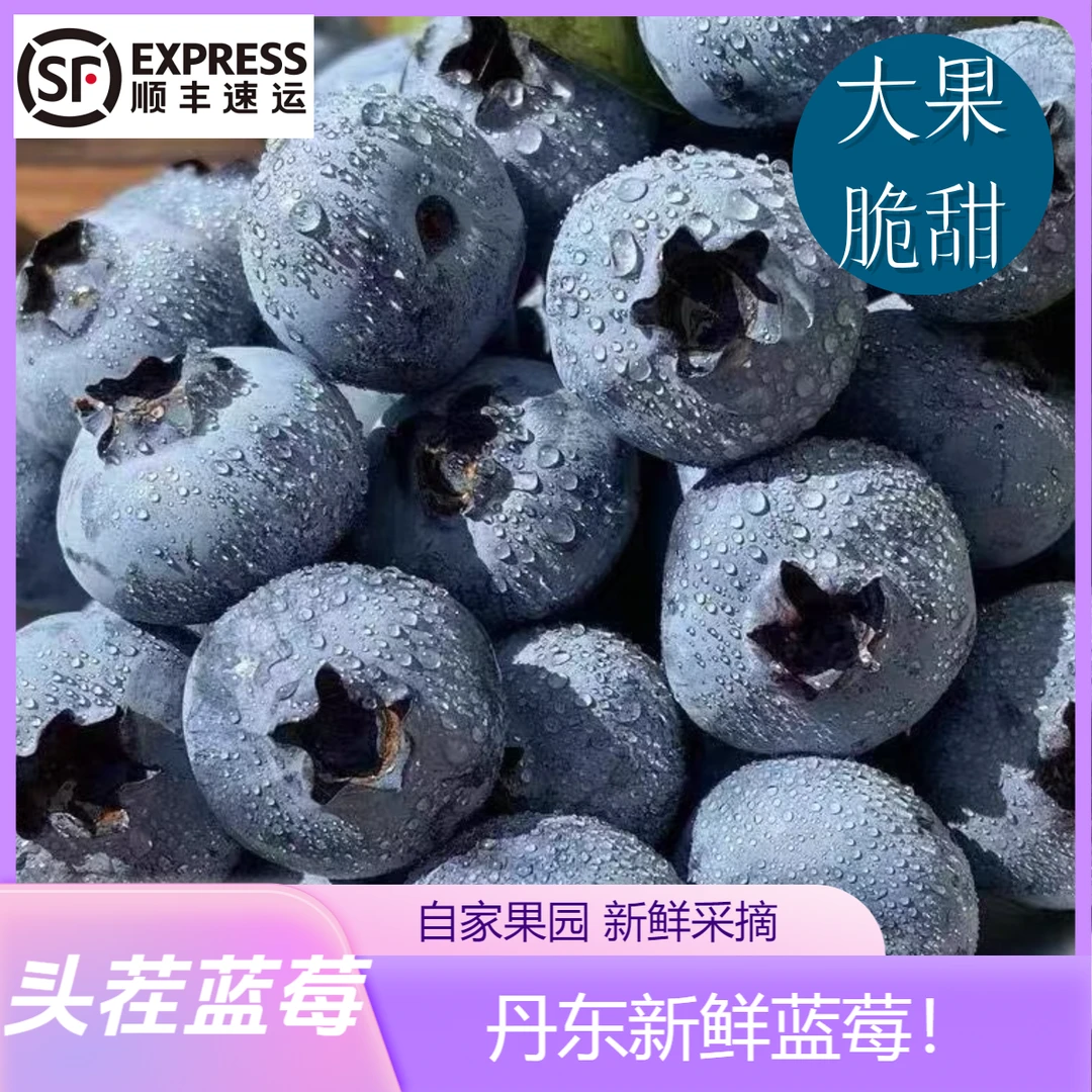 【冷棚蓝莓】12-18mm规格 丹东头茬冷棚蓝莓 顺丰包邮 孕妇孩子水果 现摘现发 花青素100g/带盒(JL-C3)辽宁省