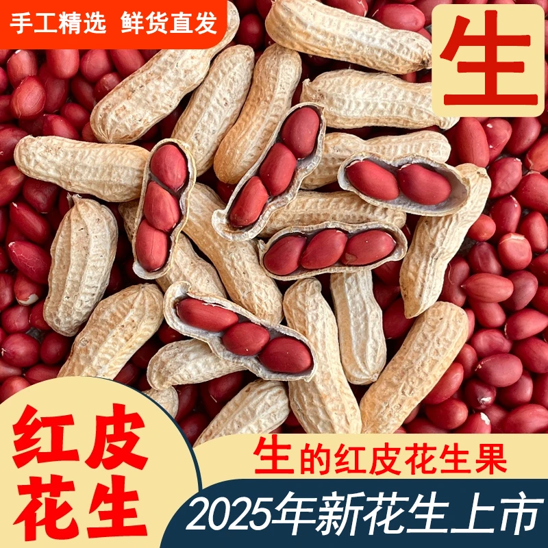 【生的红皮花生果】（花生大掌柜）红皮花生原味带壳新鲜晒干