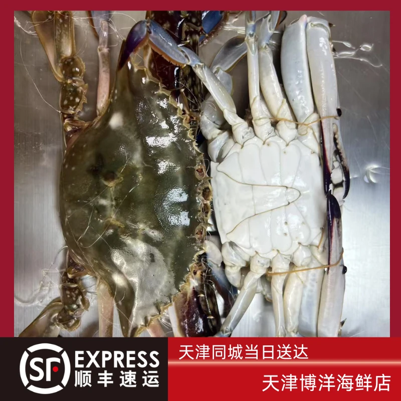 【保鲜不保活】海捕公蟹（单只3-5两 每斤3-4只）
