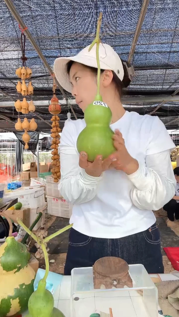 725天然葫芦摆件 一物一拍龙头不保售后