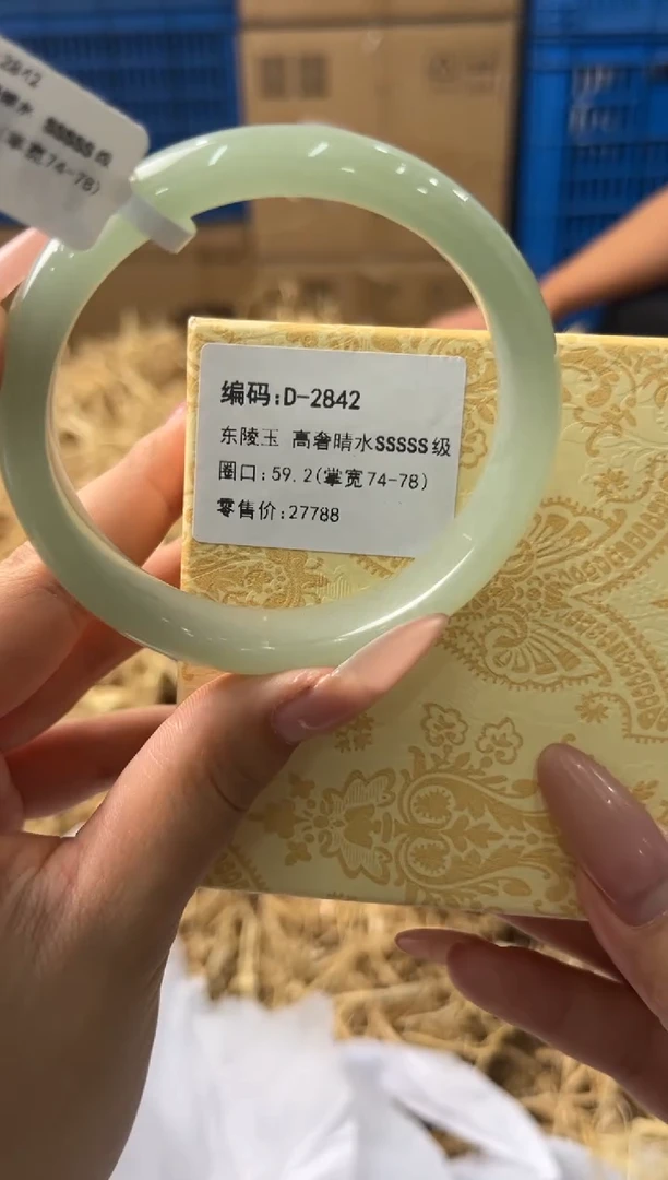 未镶嵌手镯石英质玉D2842