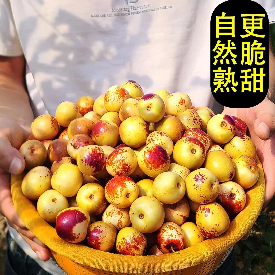 【商超品质】正宗山东沾化冰糖冬枣脆甜新鲜青冬枣孕妇水果整箱批发