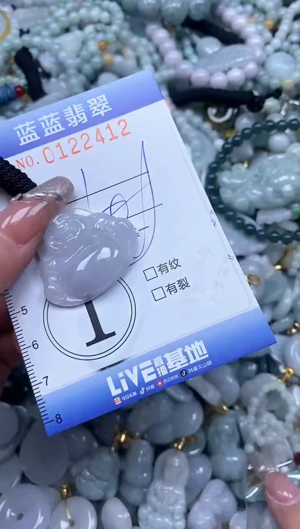 【闪购商品】翡翠颈饰未镶嵌闪购0122412多样性发其一