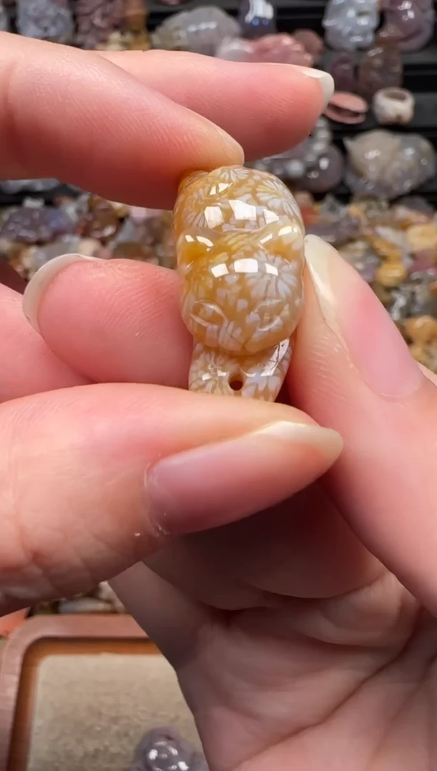 颈饰未镶嵌硅化珊瑚（珊瑚玉）655