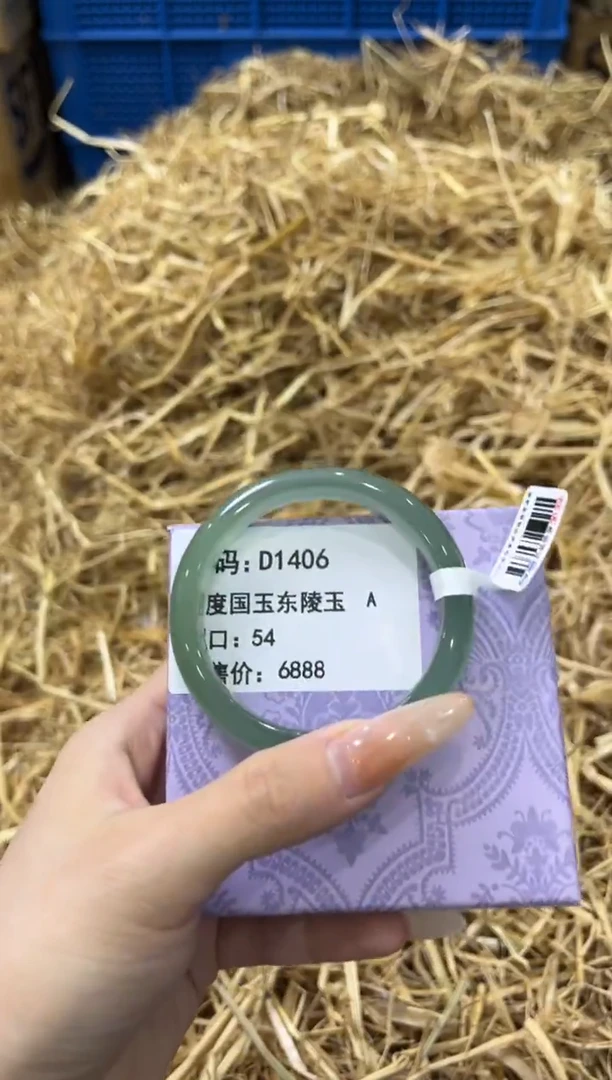未镶嵌手镯石英质玉D1406