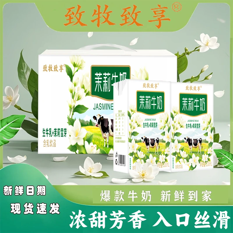 【10盒超值装】茉莉花牛奶绵密茉莉香200ml*10盒营养儿童早餐奶