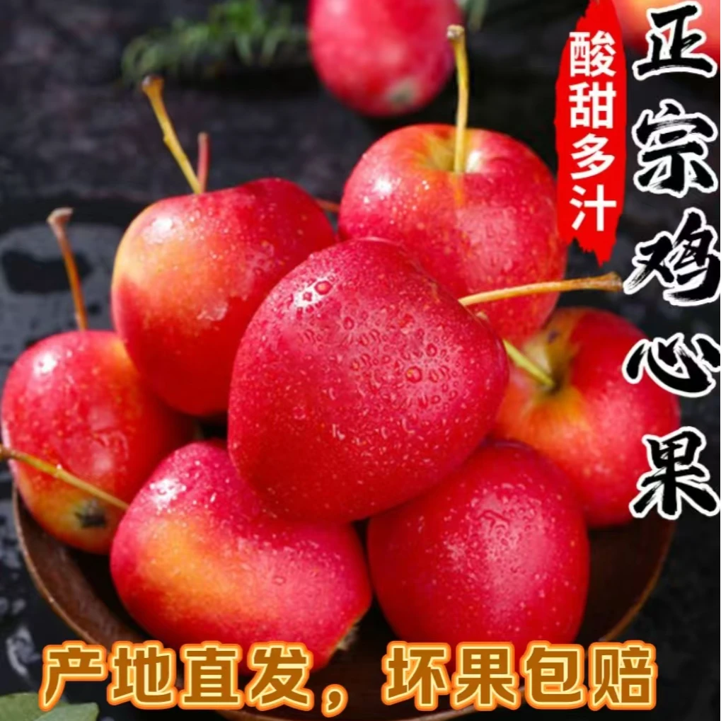 正宗东北鸡心果锦绣海棠果新鲜采摘脆甜多汁酸甜爽口应季水果9/19