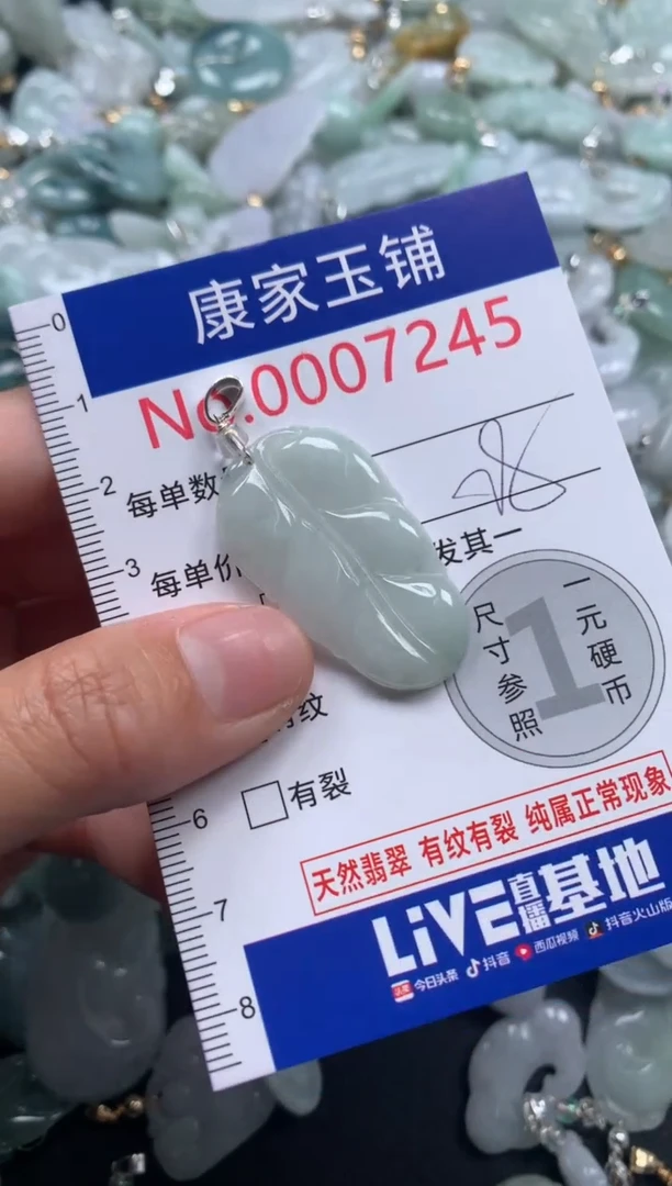 颈饰未镶嵌翡翠7245
