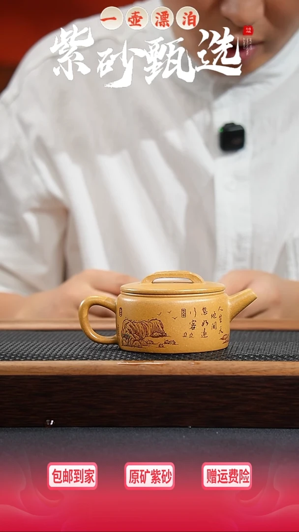 茶壶紫砂 一壶漂泊紫砂茶器1102