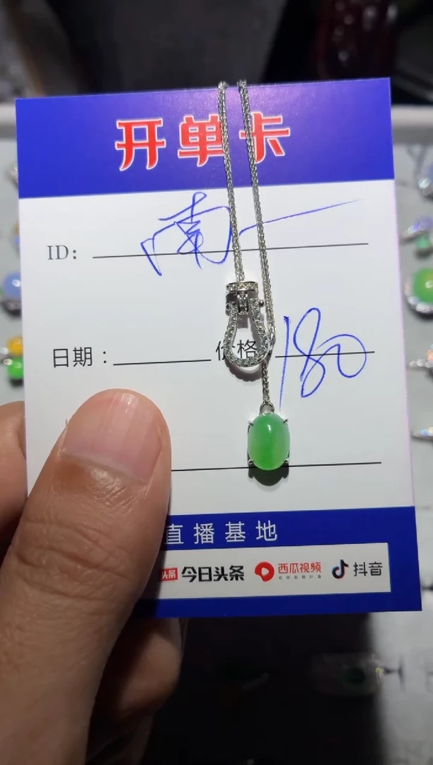 翡翠银S925镶嵌颈饰向 南 一