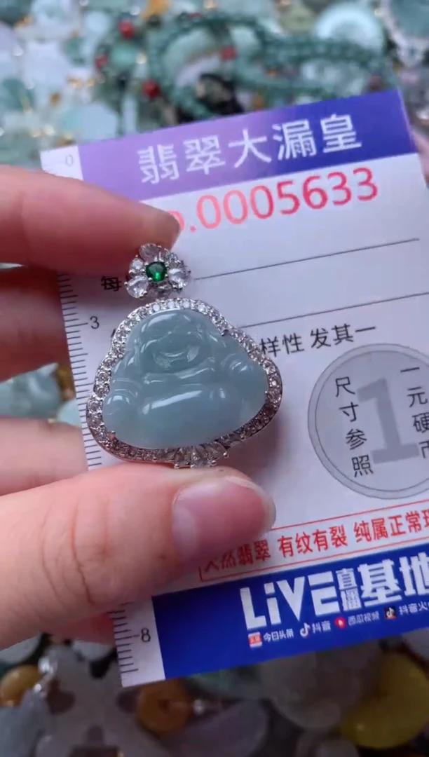 翡翠未镶嵌颈饰5633