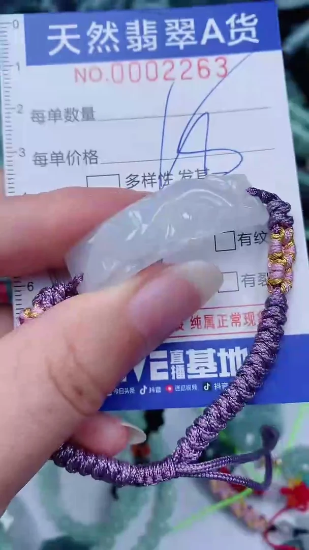 翡翠未镶嵌颈饰00002263