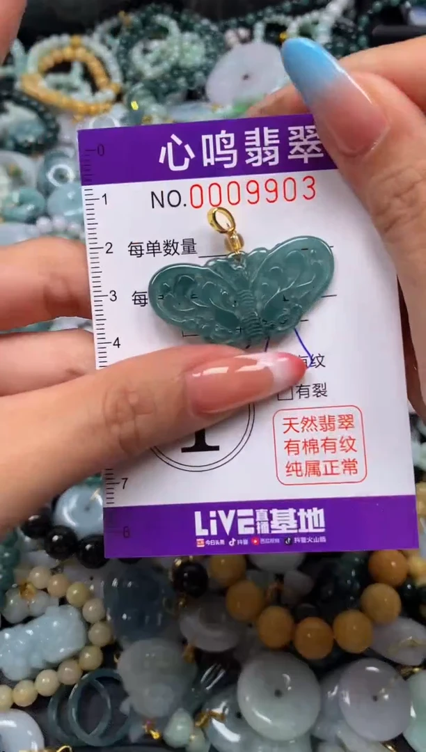 翡翠未镶嵌颈饰闪购009903