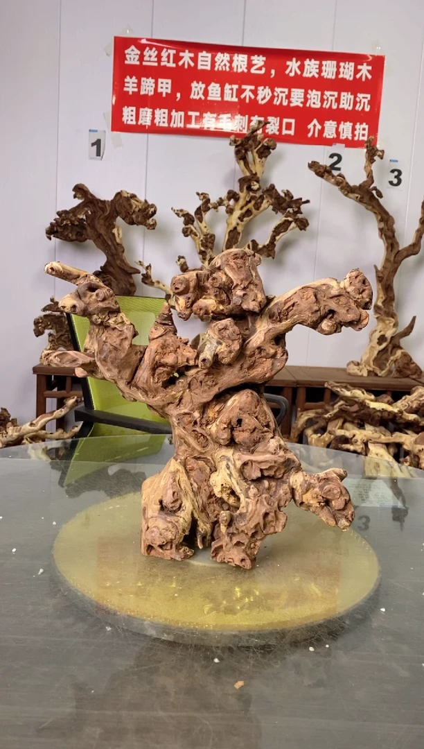 【闪购商品】香榧木枯树摆件 粗磨粗加工半成品 毛料