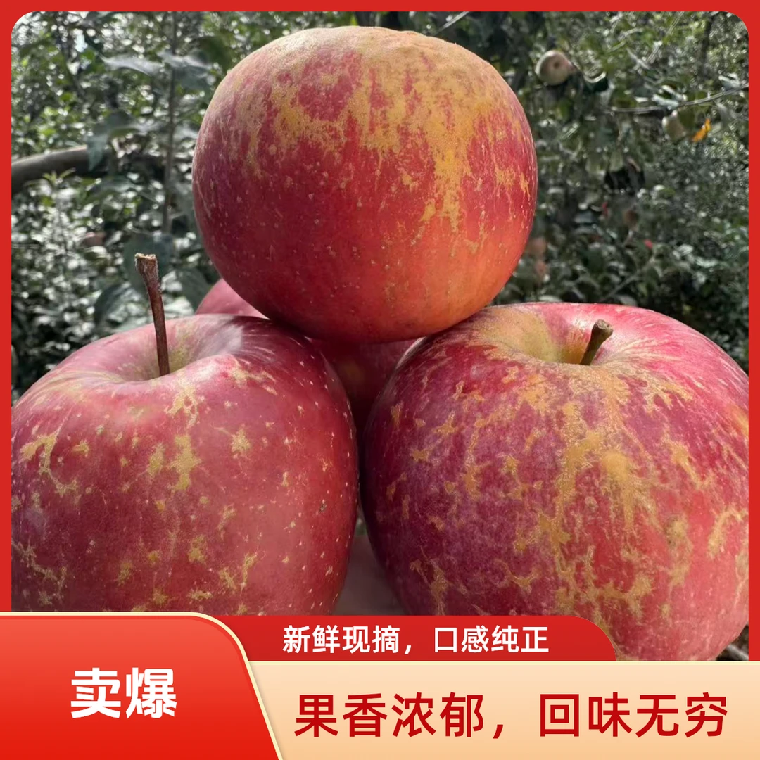 正宗云南昭通丑苹果新鲜现摘脆甜多汁营养丰富产地现摘