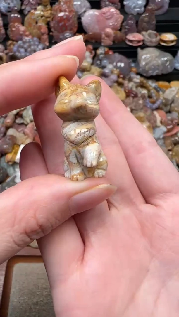 颈饰未镶嵌硅化珊瑚（珊瑚玉）087