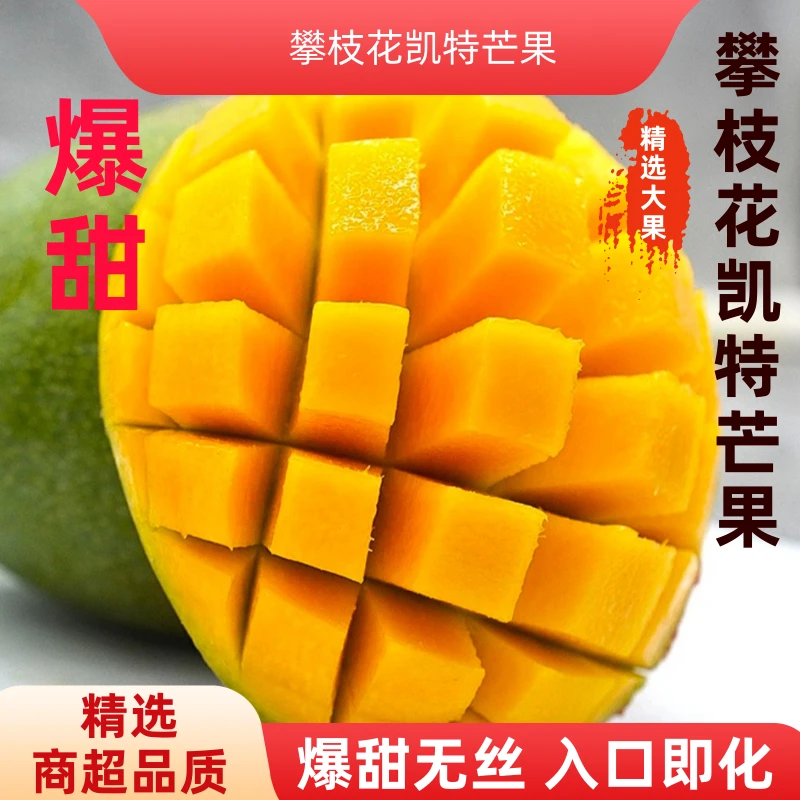 【爆甜芒果】四川攀枝花凯特芒果新鲜应季水果包邮大青芒果整箱豹