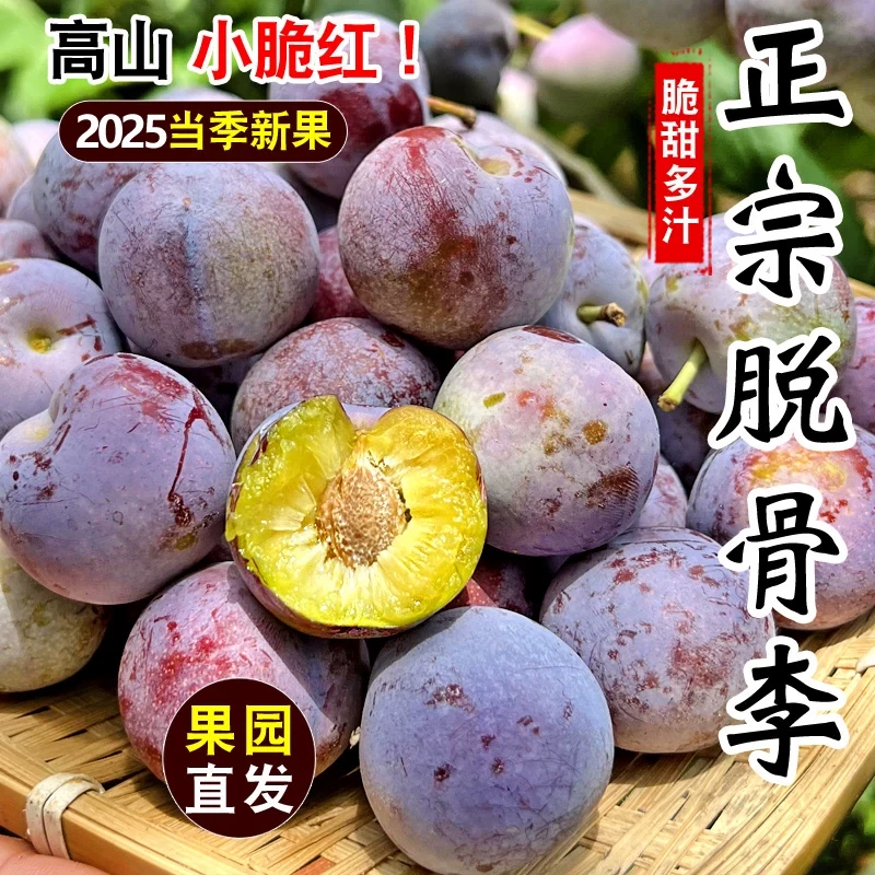 四川正宗脱骨脆红李茵红李新鲜现摘多汁当季水果