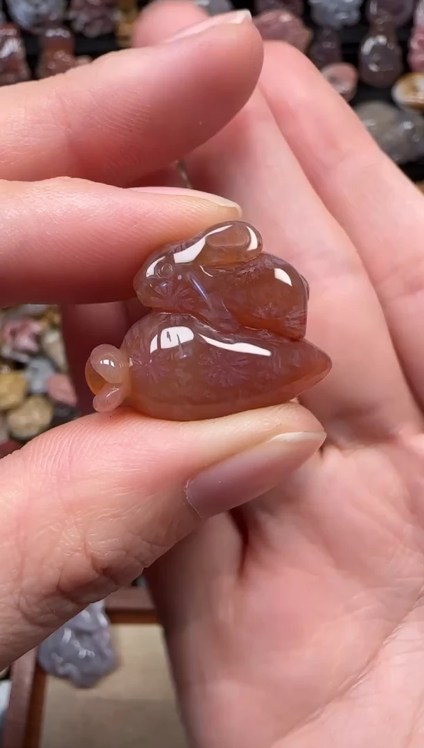 颈饰未镶嵌硅化珊瑚（珊瑚玉）145