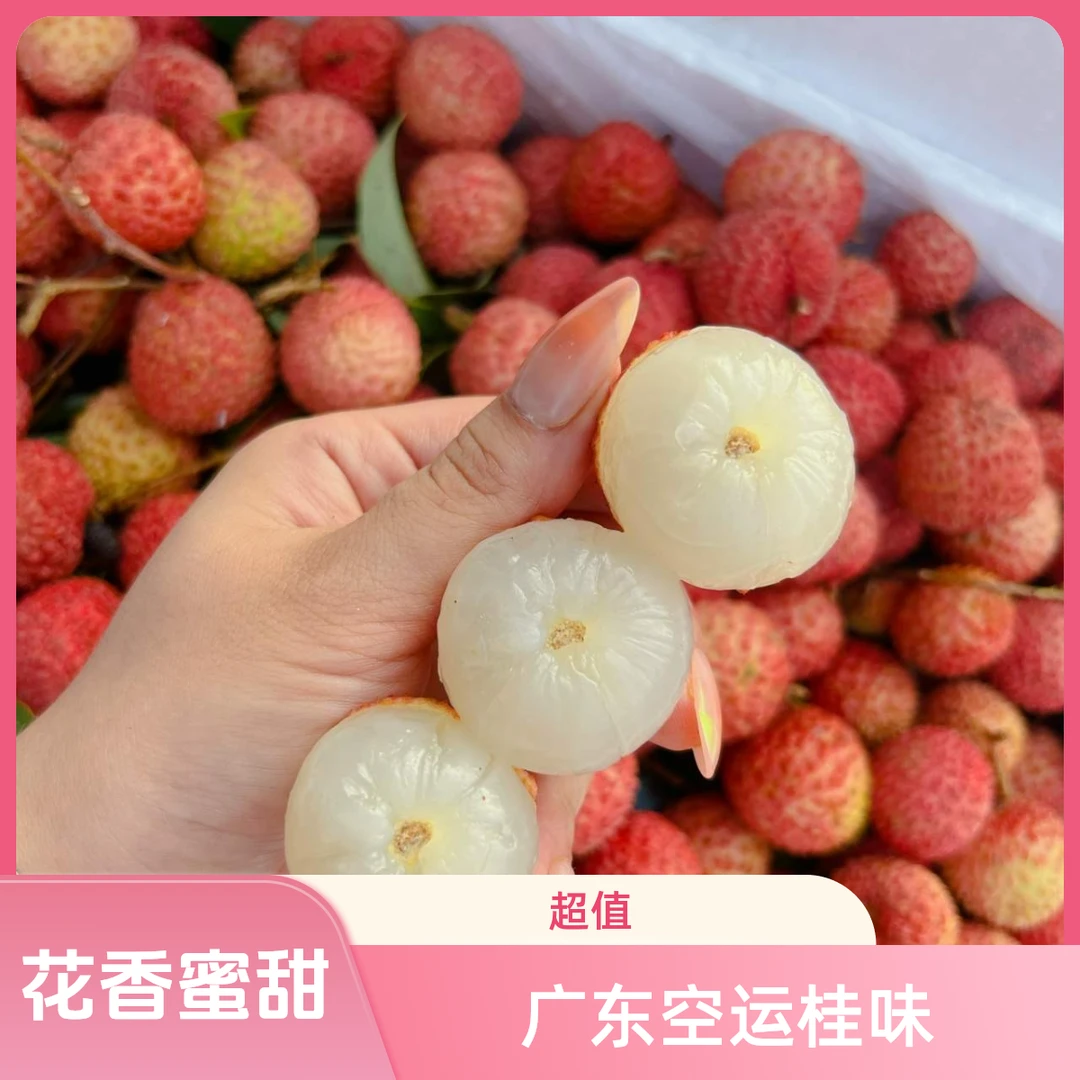 【韩美丽专属】广东空运桂味荔枝 花香蜜甜 果肉饱满 甄选果