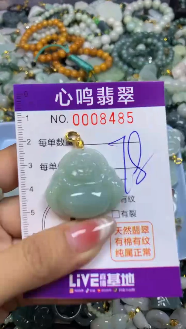 【闪购商品】翡翠颈饰未镶嵌闪购008485