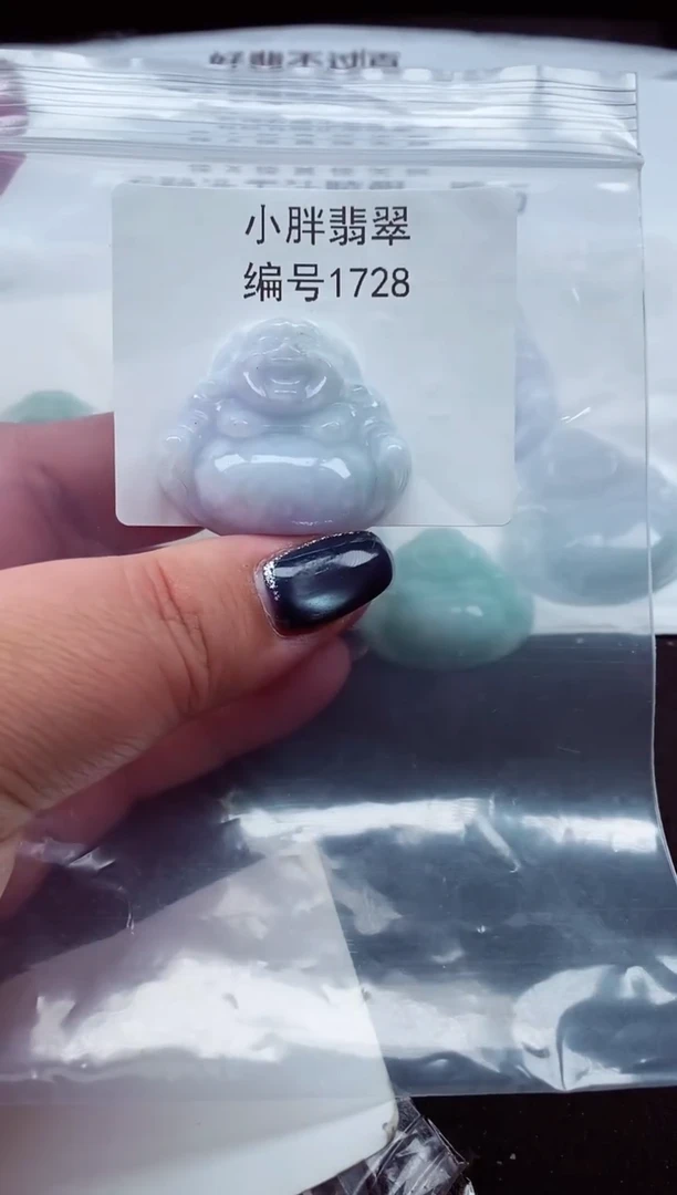 颈饰未镶嵌翡翠缅甸天然A货翡翠1728