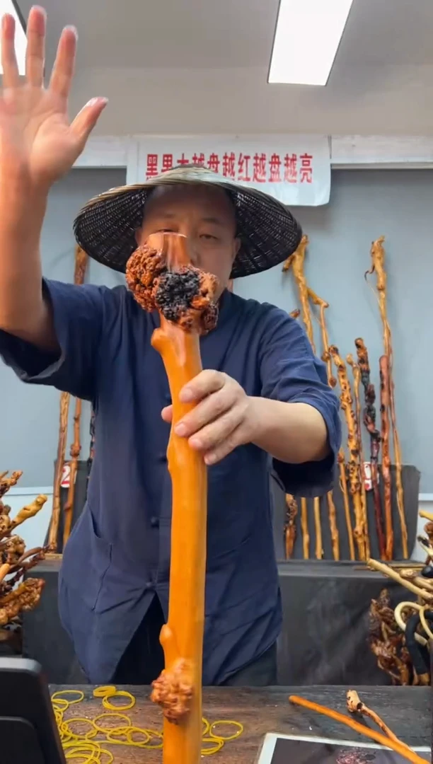 【闪购商品】黑果木其他黑果木986