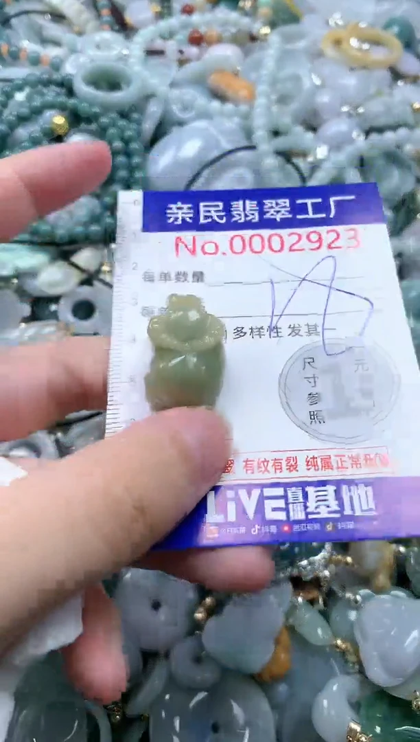 翡翠未镶嵌吊坠(不含链)2923