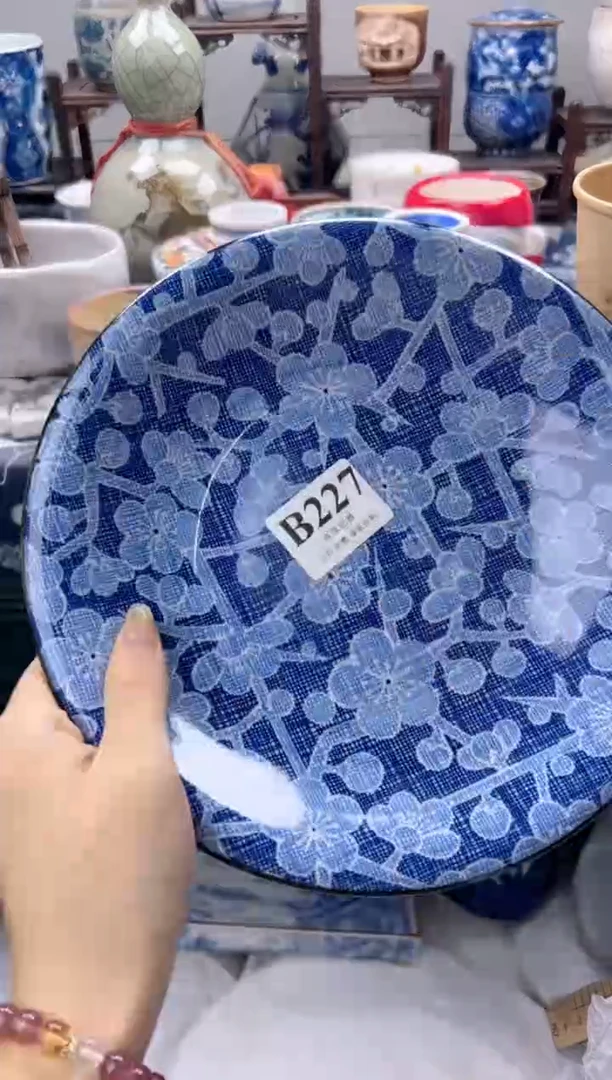 瓷片Z*Z    B227