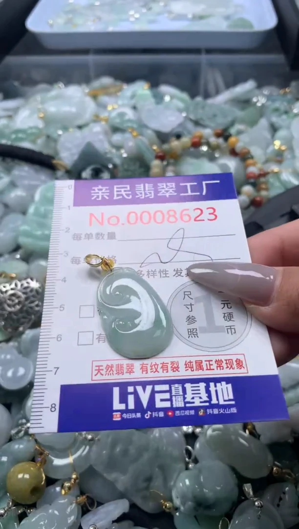 颈饰未镶嵌翡翠8623