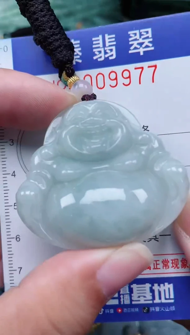 翡翠未镶嵌颈饰.0009977