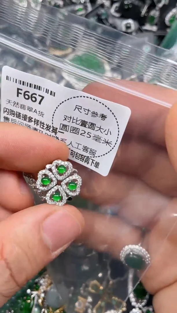 颈饰未镶嵌翡翠F667项链