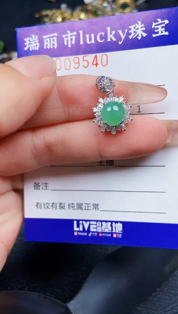 翡翠银S925镶嵌颈饰9540