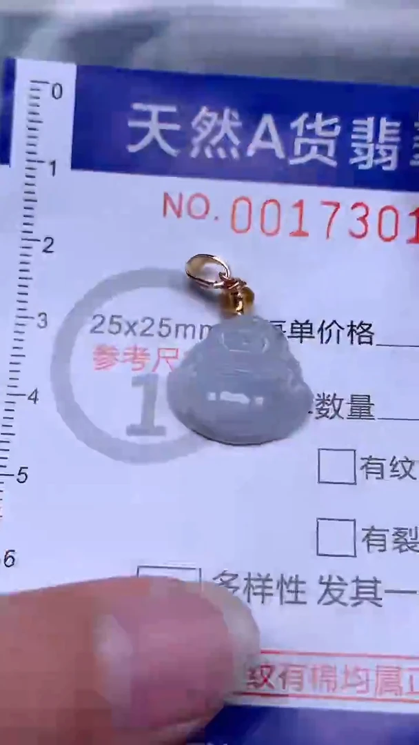 翡翠未镶嵌吊坠(不含链)1