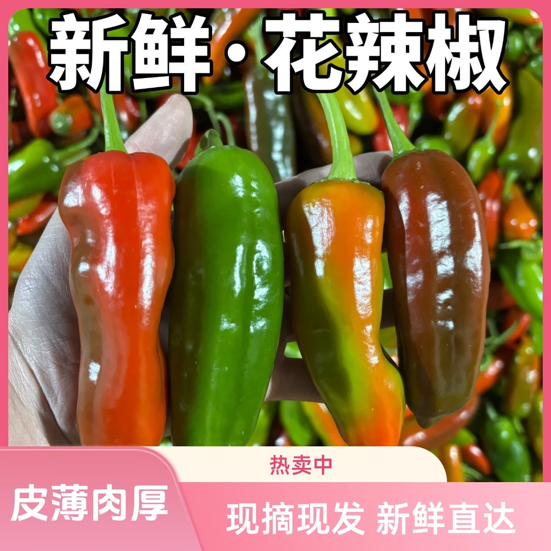 【当天采摘】新鲜七彩辣椒花辣椒红辣椒虎皮青椒炒菜辣椒芜湖辣椒
