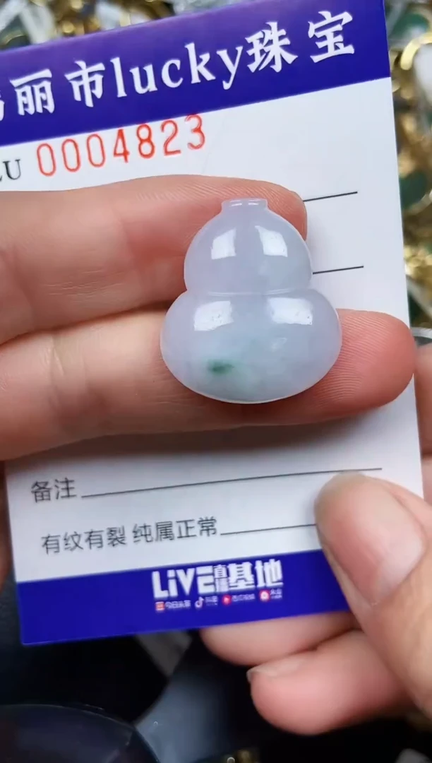 翡翠未镶嵌颈饰4823裸石