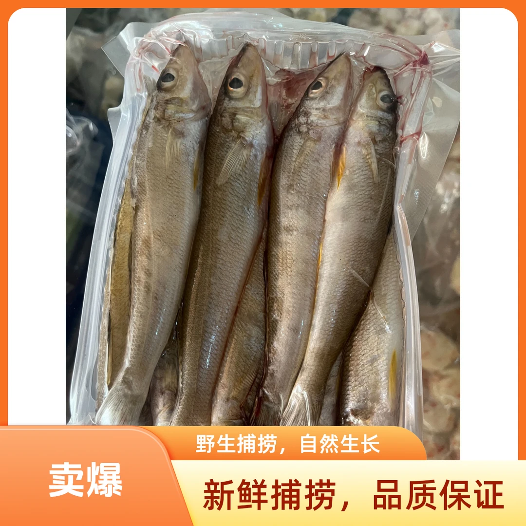 沙尖鱼-约350-400g