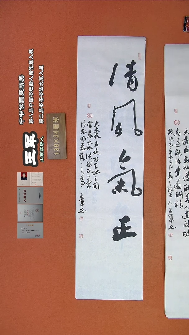 【闪购商品】书法433王军书法作品