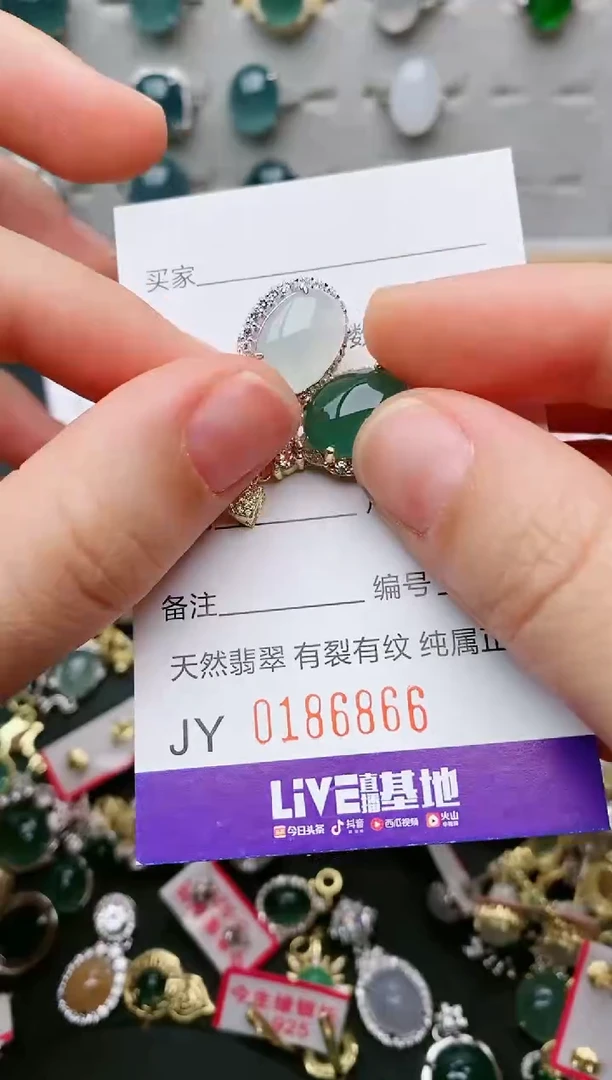 翡翠银S925镶嵌颈饰....