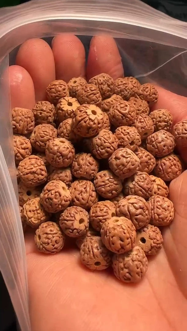手串金刚菩提非全品龙切一代龙散籽9-10mm一份一百颗